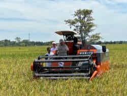 Tembus 1 Juta Ton, BULOG Terus Optimalkan Penyerapan Manfaatkan Momentum Panen Raya