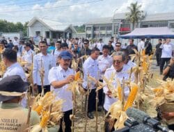 Nusakambangan Panen Perdana, Bangun Lumbung Ketahanan Pangan dan Beri Kesempatan Warga Binaan