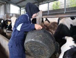 Kartini Zaman Now, Sosok Kowad Pahlawan Pangan dan Gizi