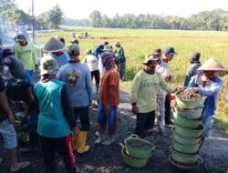 Setiap Butir Batu Split Tersimpan Doa dan Asa Yang Selama Ini Dinanti