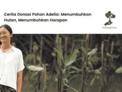 Aksi Adelia Menjadi Inspirasi bagi Gerakan Menanam Pohon