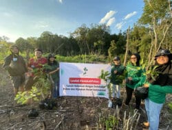 Dorong Keterlibatan Brand, LindungiHutan Permudah Akses Kolaborasi Hijau