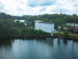 Echo Nusantara: Sarang Burung Walet Premium dari Hutan Kalimantan yang Murni dan Organik