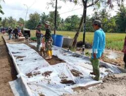 Sinergi TMMD, TNI-Warga Lakukan Perbaikan Jalan Desa Kaliwungu Cilacap