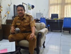 Sertifikasi Halal dan Merek Sekarang Gratis bagi IKM Tahun 2025