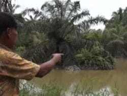 PT. RAPP Diduga Cemari Lingkungan, Saat Dihubungi Bungkam