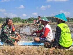TNI Penjaga Negeri dan Sahabat Petani