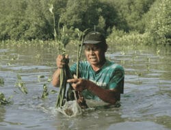 22 Mei, LindungiHutan Serukan Pentingnya Lindungi Habitat untuk Masa Depan Alam