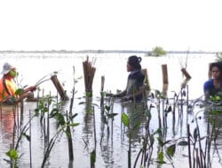 Momentum Hari Buruh, LindungiHutan Soroti Peran Komunitas untuk Konservasi Lingkungan