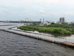 WSBP Pacu Suplai Spun Pile, Progres Proyek Pembangunan Tanggul Pengaman Pantai NCICD Paket 2 Tembus 69%