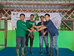 Upaya Restorasi Ekosistem, 1 Juta Pohon Tertanam Lewat Aksi Kolektif
