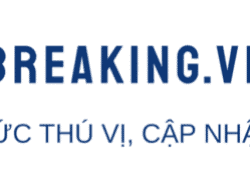 VRITIMES Luncurkan vnbreaking.vn, Platform Media Khusus untuk Menyajikan Berita dari Vietnam
