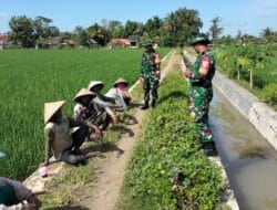 Dampingi Petani, Babinsa Sosialisasikan Program Sergab