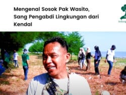 Gerakan Hijau Komunitas Mangrove Kendal Pulihkan Ekonomi Pesisir