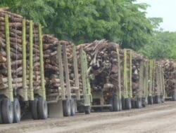 Dianggap Menipu, Yusri SH, Anggota DPRD Pelalawan Soroti April Group