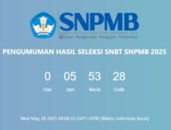 Cek Penerimaan SNBT 2025, Ini Dia Linknya