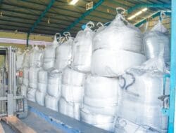 Dukung Industri Kendaraan Listrik, Pelindo Solusi Logistik Menangani Bahan Baku Produksi Baterai