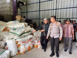 Dukung Ketahanan Pangan Nasional, Polresta Cilacap Gelar Panen Raya Jagung