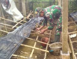 Tak Ingin Lingkungannya Terus Tercemar, Serda Rohman Geluti Budidaya Cacing