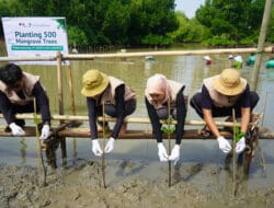 KAI Logistik Tanam 500 Mangrove: Dorong Logistik Berkelanjutan
