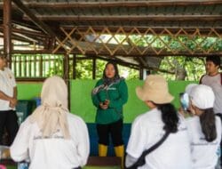 LindungiHutan Fasilitasi CSR Lingkungan Lewat Edukasi dan Kegiatan Rehabilitasi Ekosistem