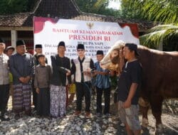 Mas Ipin Serahkan Langsung Sapi Kurban Presiden Prabowo ke Ponpes Kidul Kali Trenggalek