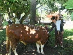 Mas Ipin Serahkan Hewan Kurban untuk Warga Terdampak Longsor di Desa Depok