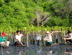 600+ Brand Telah Bergabung Tanam Pohon: Green Branding Bukan Sekadar Trend