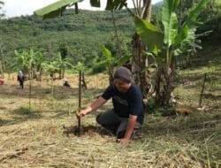 Ancaman Hilangnya Hutan Indonesia, Saatnya Meninjau Ulang Kebijakan Karbon Kita