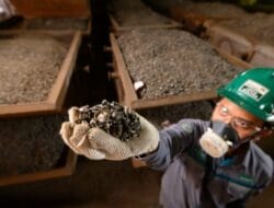 DPR Dukung Percepatan Hilirisasi Grup MIND ID