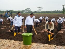 Wapres Gibran Tinjau Panen Raya Tebu dan Program Swasembada Gula di Kebun Jolondoro Banyuwangi