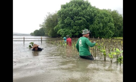 LindungiHutan Ajak Publik Lestarikan Alam di Hari Konservasi Alam Sedunia