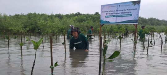 PT Hino Finance Indonesia Tanam 1.400 Mangrove, Perkuat Benteng Hijau Pesisir Makassar