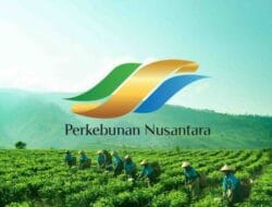 Holding Perkebunan Nusantara Dorong Produk Bernilai Tinggi, Teh Malabar PTPN I Tembus Pasar Premium