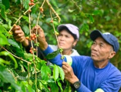 Alsons Power Drives Environmental Sustainability, Empowers Communities in Sarangani