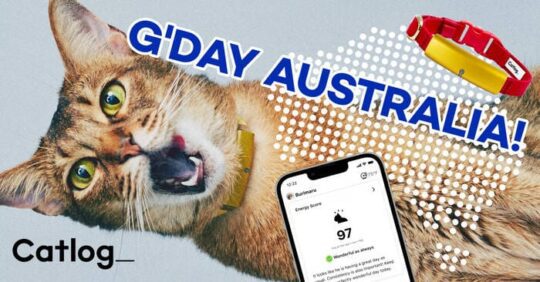 Catlog, Purrfect Health Tracker Loved by About 50,000 Cats, Brings mee-AI-ow Tech to Australia for Early Detection and Peace of Mind