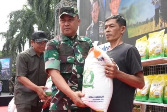 Sinergi TNI-Bulog Perkuat Ketahanan Pangan dan Kendalikan Harga