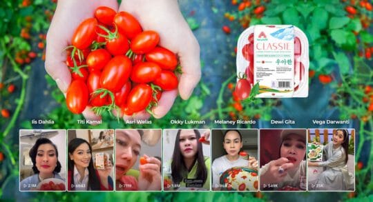 Cherry Tomato Stevia Astyfarm, Tomat Premium yang Bikin Artis Indonesia Jatuh Cinta