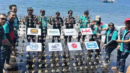 PTPP Tanam 2.500 Bibit Terumbu Karang di Banyuwangi; Wujud Nyata Komitmen Lestarikan Ekosistem Laut Indonesia