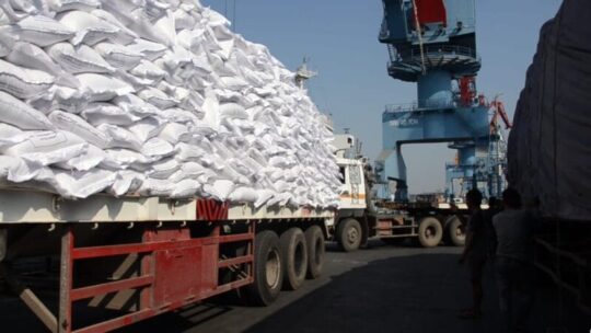 Semester I 2025, PTP Nonpetikemas Catat Kinerja Bertumbuh