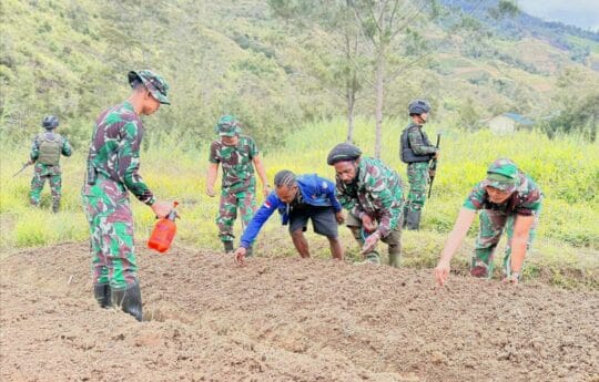 Sinergi TNI dan Warga Wujudkan Kemandirian Pangan di Distrik Malagai