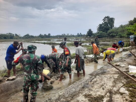 Sambut Kemerdekaan Ke-80 RI, Koramil 1412-05/Pakue, Kodim 1412/Kolaka Gelar Karya Bakti Bersihkan Drainase Persawahan