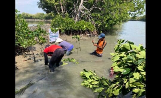 80 Tahun Merdeka, CSR Hijau Jadi Wujud Patriotisme di Era Krisis Iklim