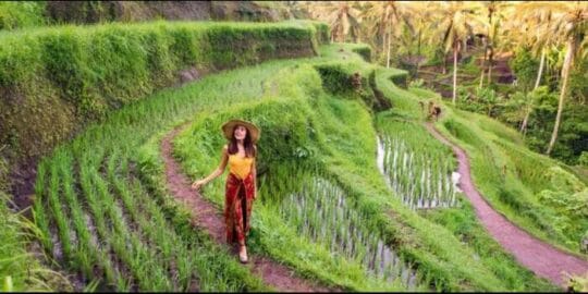 Bali Sun Tours Luncurkan Portofolio Pengalaman 2025 dan Pemesanan Langsung