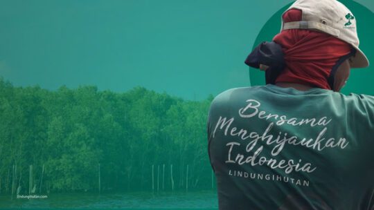 Deforestasi Indonesia Meningkat di 2024, Perusahaan Didorong Perkuat CSR Lingkungan