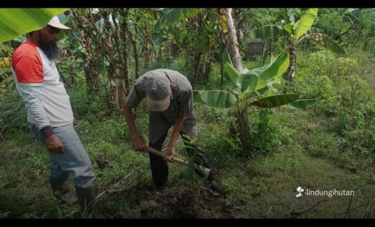 Hari Tani Nasional 2025, LindungiHutan Perkuat Peran Petani dalam Penghijauan dan Ketahanan Iklim