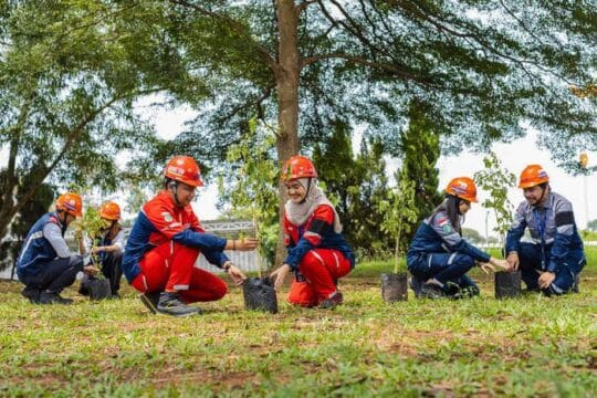 1 Tahun Program WSBP Inspiring Kindness: Piles of Sustainability – Bersama Pelanggan, WSBP Tanam 6.526 Pohon untuk Masa Depan yang Lebih Hijau