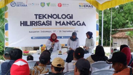 Desa Ekonomi Maju dan Sejahtera Dorong Desa Mandiri Indramayu Sandiaga Uno Gelar Pelatihan Hilirisasi Mangga