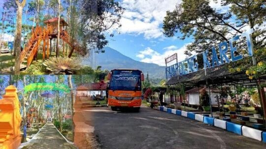 Diversifikasi Usaha, Holding Perkebunan Nusantara Optimalkan Kebun Karet Tak Produktif Jadi Agrowisata Edukatif