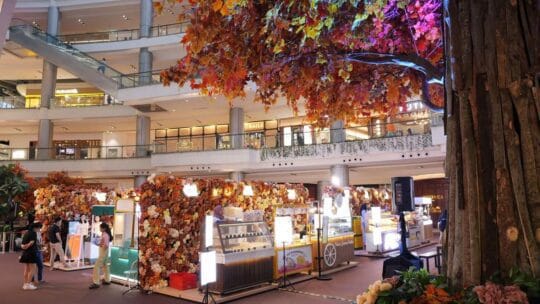 Autumn Foliage di PIK Avenue: Saat Warna-Warni Musim Gugur Hadir di Jakarta